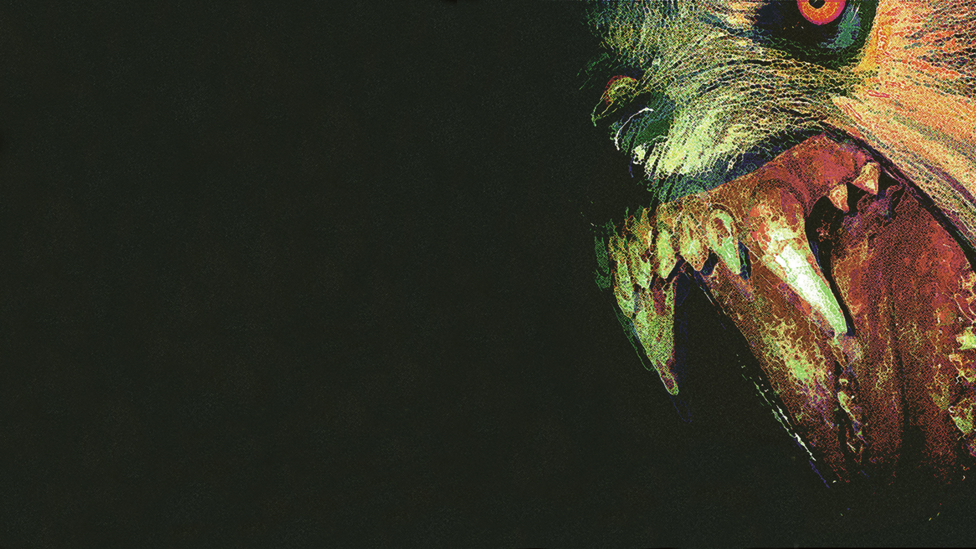 A Close Up Of A Monster'S Face — Animals wallpaper in 1920x1080