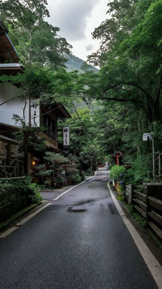 Kyoto Forest Road wallpaper in 3840x2160