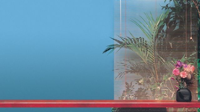 A Plant In Front Of A Window — CGI wallpaper in 1920x1080