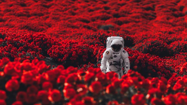 Astronaut In Flowers wallpaper