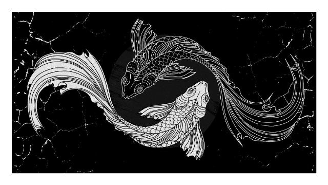 Koi Harmony wallpaper