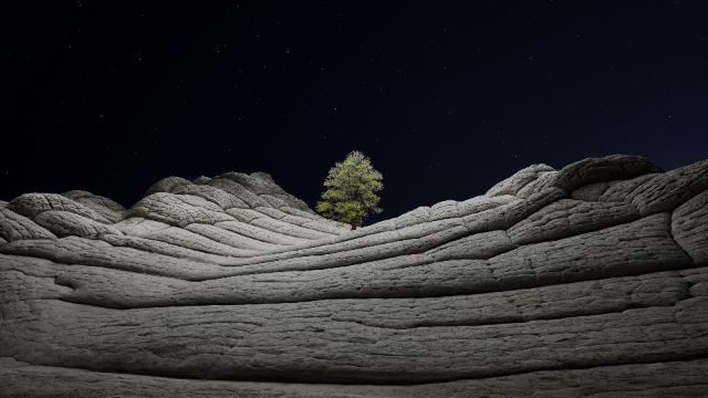 Macos Big Sur Stock Night Lone Tree Sedimentary Rocks wallpaper in 3840x2160