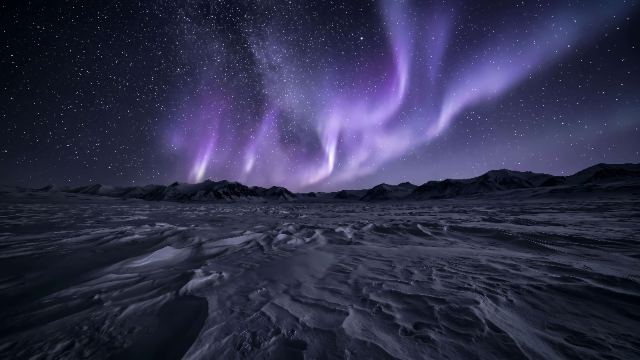 Violet Aurora Night wallpaper