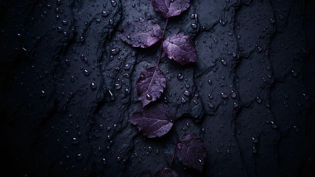 Indigo Night wallpaper in 3840x2160